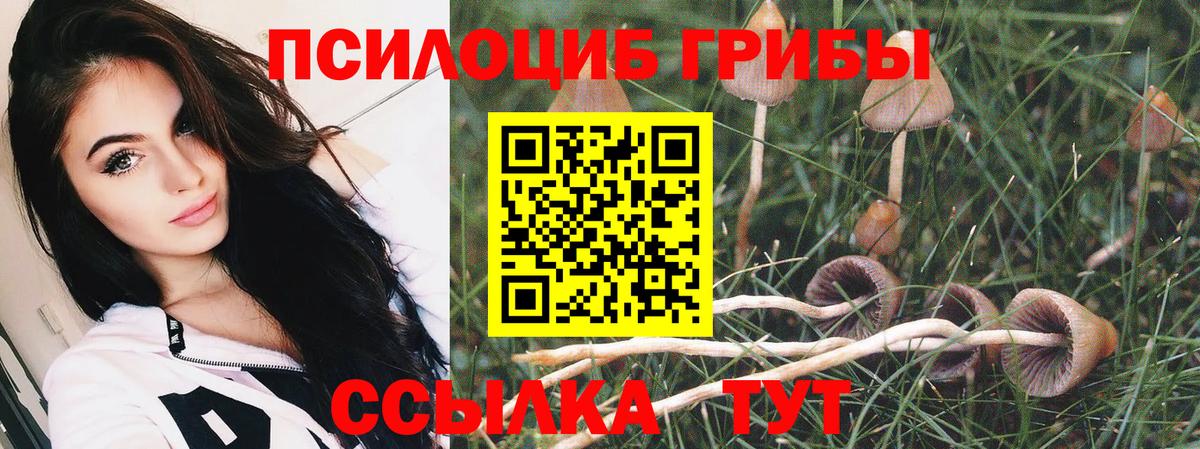 Псилоцибиновые грибы прущие грибы Вязники