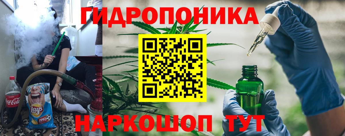 Каннабис план  Вход с VPN  Бошки Шишки индика  Конопля OG Kush  Бошки марихуана Amnesia  Вязники 